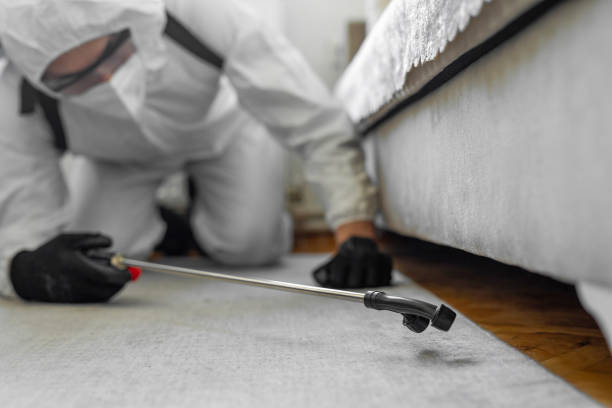 Professional Bed Bug Control technician working in Malmstrom AFB, MT