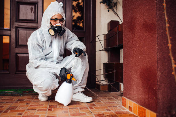 Reliable Bed Bug Control contractor in Malmstrom AFB, MT by Nex Pest Control
